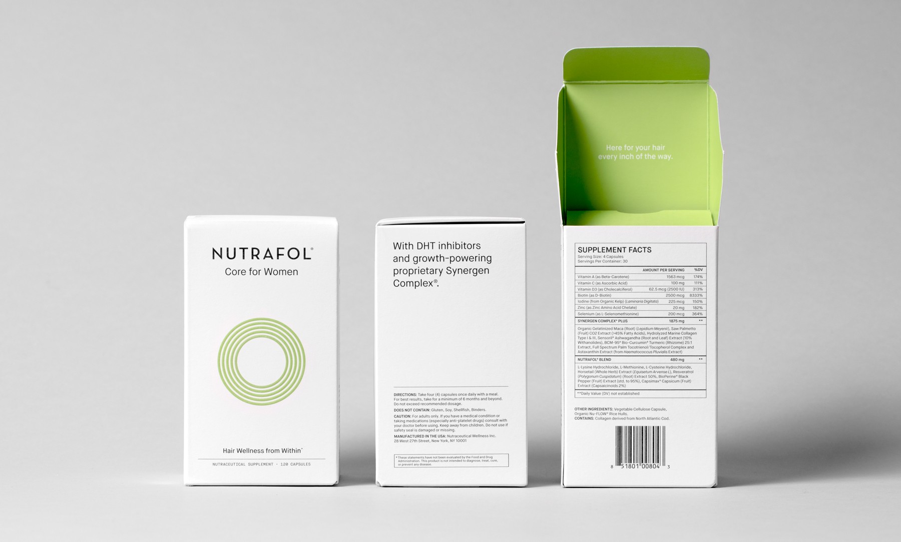 Graphic of a close up of a website depicting an Our Projects page with sample project names and dates.