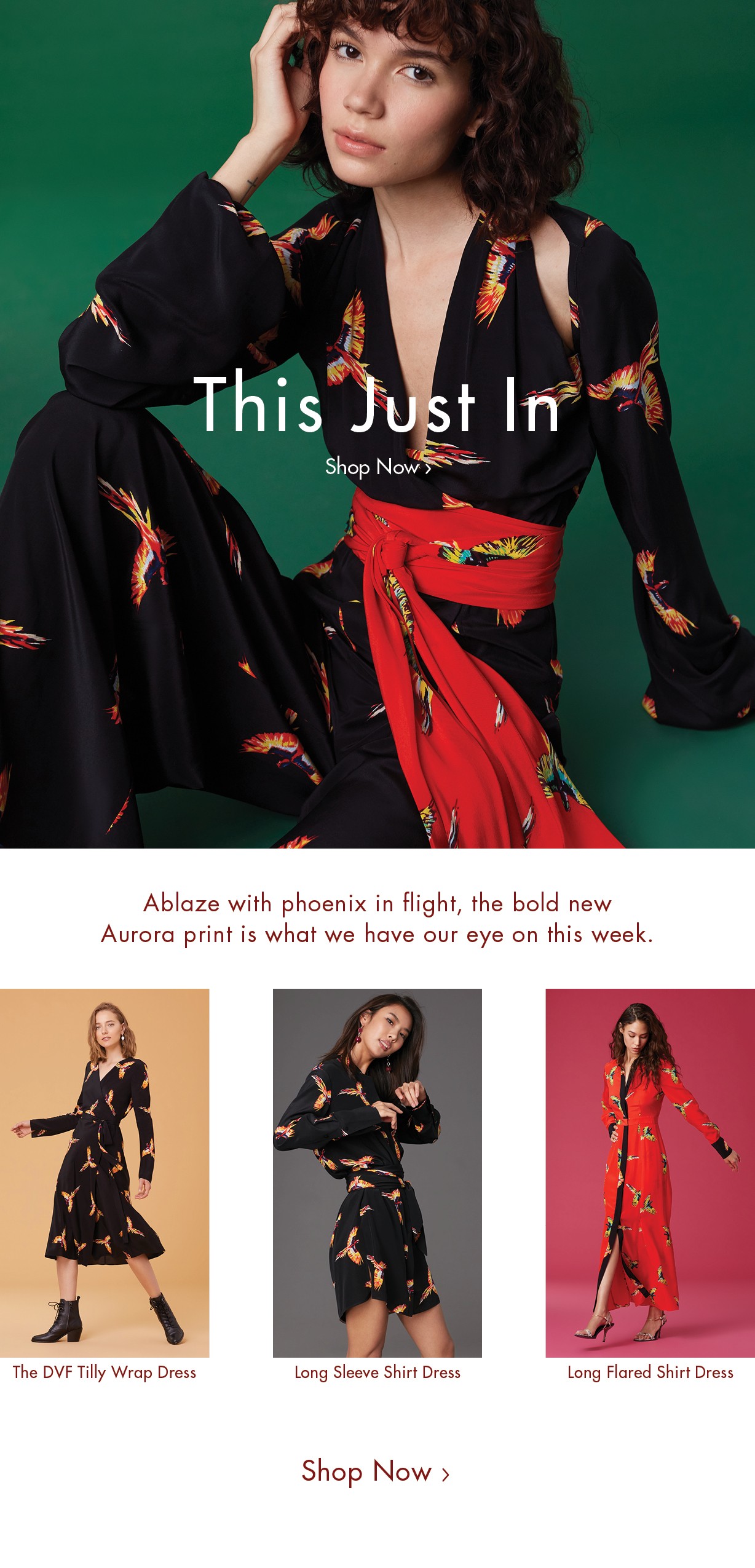 Graphic depicting a color palette of Stone Brown, Dark Navy, Beige, and Cream White along with corresponding hex color codes.